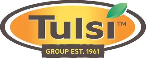 tulsi